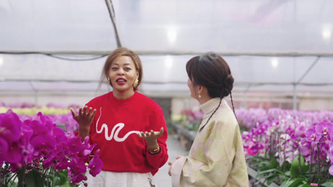 民俗百千万之当里水水上花市遇上乌干达丰收节