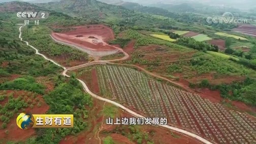 生财有道 《生财有道》 20180914 乡村振兴中国行：走进湖北丹江口
