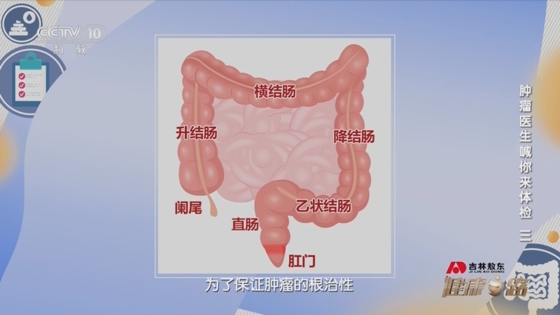 健康之路 《健康之路》 20230906 肿瘤医生喊你来体检（三）