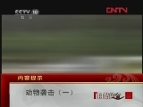 自然传奇 动物袭击（一）[自然传奇] 20120218