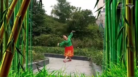 广场舞 广场舞《国韵》演跳版