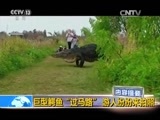 国际时讯 《国际时讯》 20170117