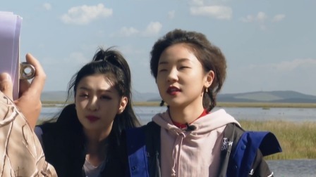 雨过天晴，深入湿地拍摄飞鸟