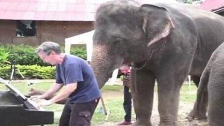 猿创精选 象主人突遭劫匪绑架 大象一举动帮其脱险 11