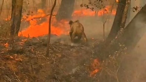 城市资讯台20200109