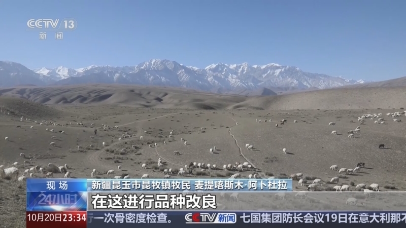 24小时 《24小时》 20241020