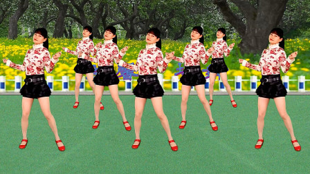 广场舞《花开的时候就来看我》轻快的32步，美美哒