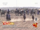 远方的家 《远方的家》长城内外 第169集 长城脚下的龙马精神 20160616