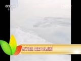 新闻袋袋裤 《新闻袋袋裤》 20150921