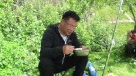 金龙挑战黑坑系列 金龙小黄面