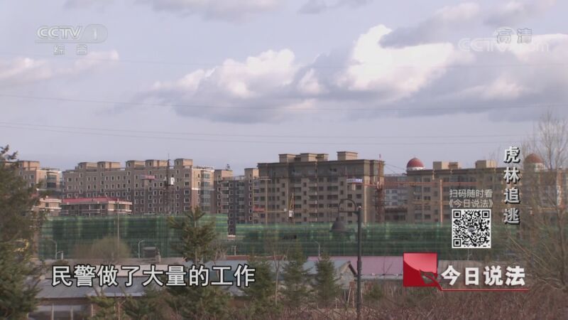 今日说法 《今日说法》 20200831 虎林追逃