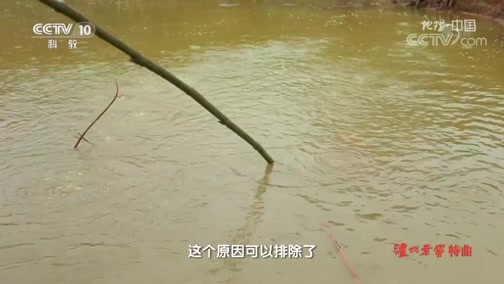 地理中国 《地理·中国》 20191215 山中宝藏
