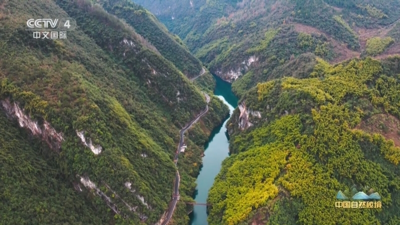 远方的家 《远方的家》 20250403 中国自然秘境 山水画廊间的生态画卷