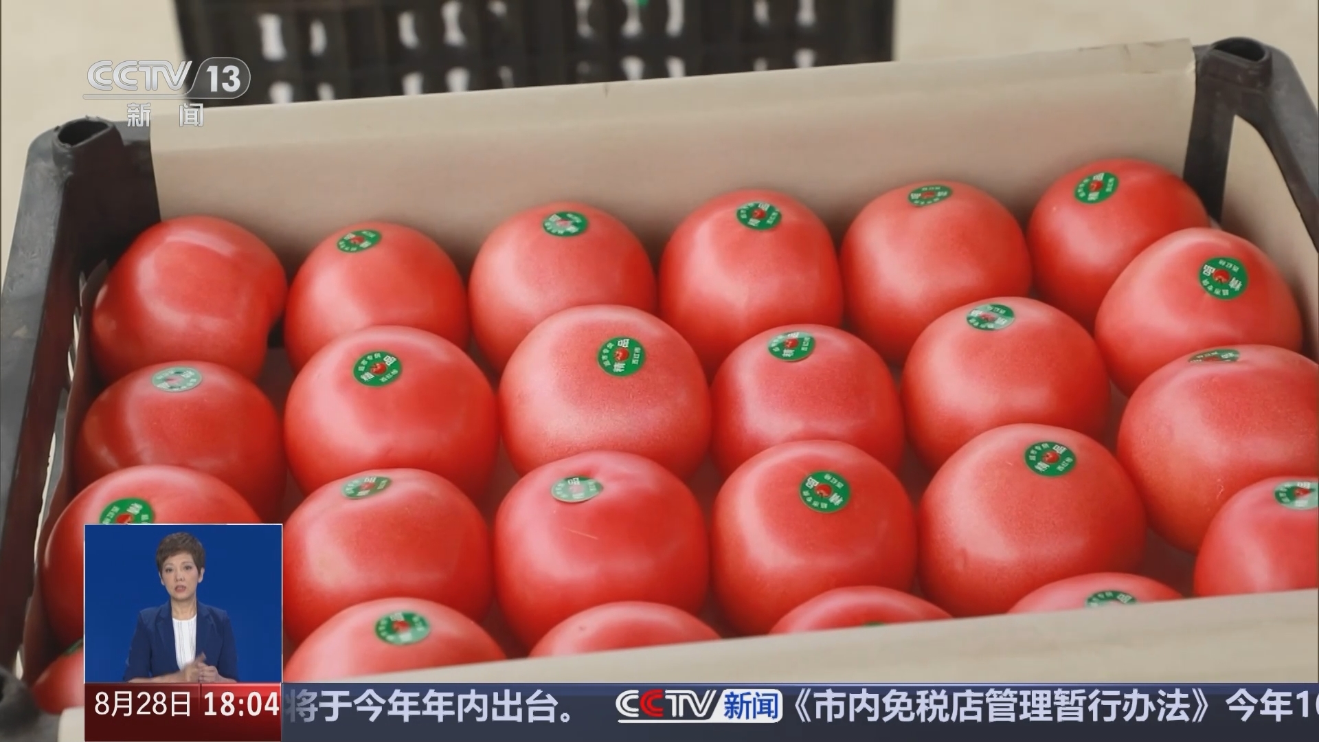 共同关注 《共同关注》 20240828