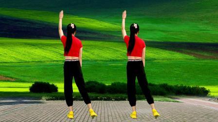 零基础瘦身健身操，消食甩脂《妹妹不哭dj》背面