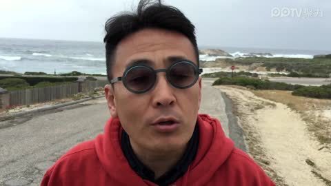 天天逗文涛 天天逗文涛- 离开土豪城堡 — 最美公路上的人权动物权