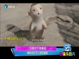 娱乐乐翻天 《娱乐乐翻天》 20180117