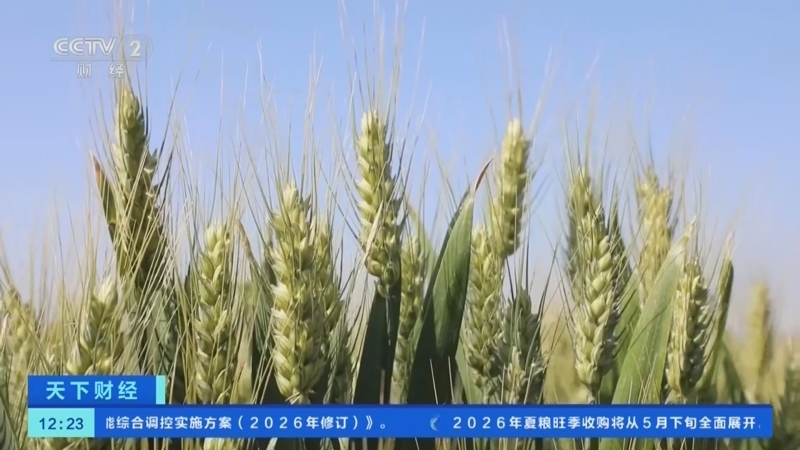 《天下财经》 20260515