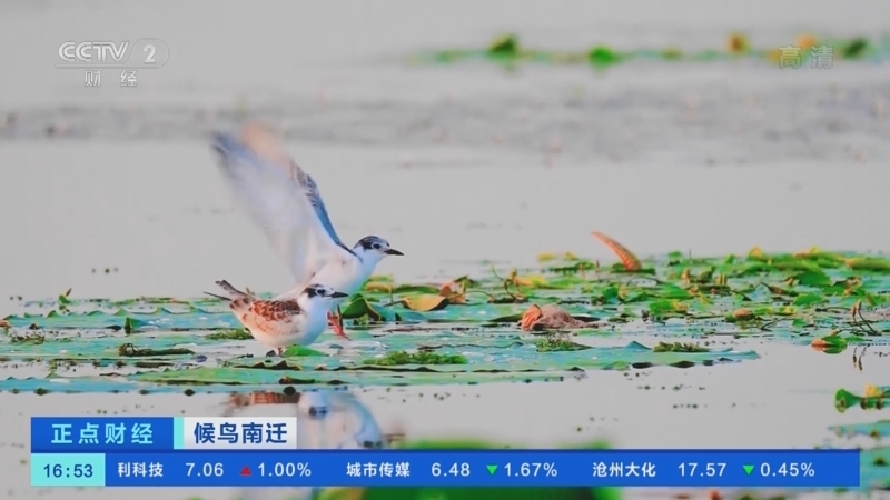 正点财经 《正点财经》 20221103 16:00