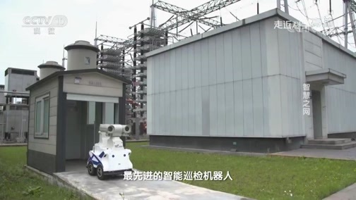 走近科学 《走近科学》 20181031 智慧之网