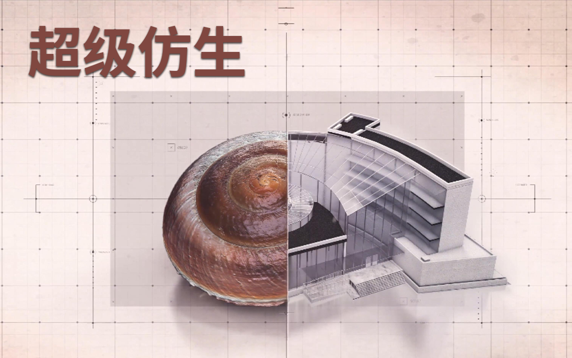 建筑师