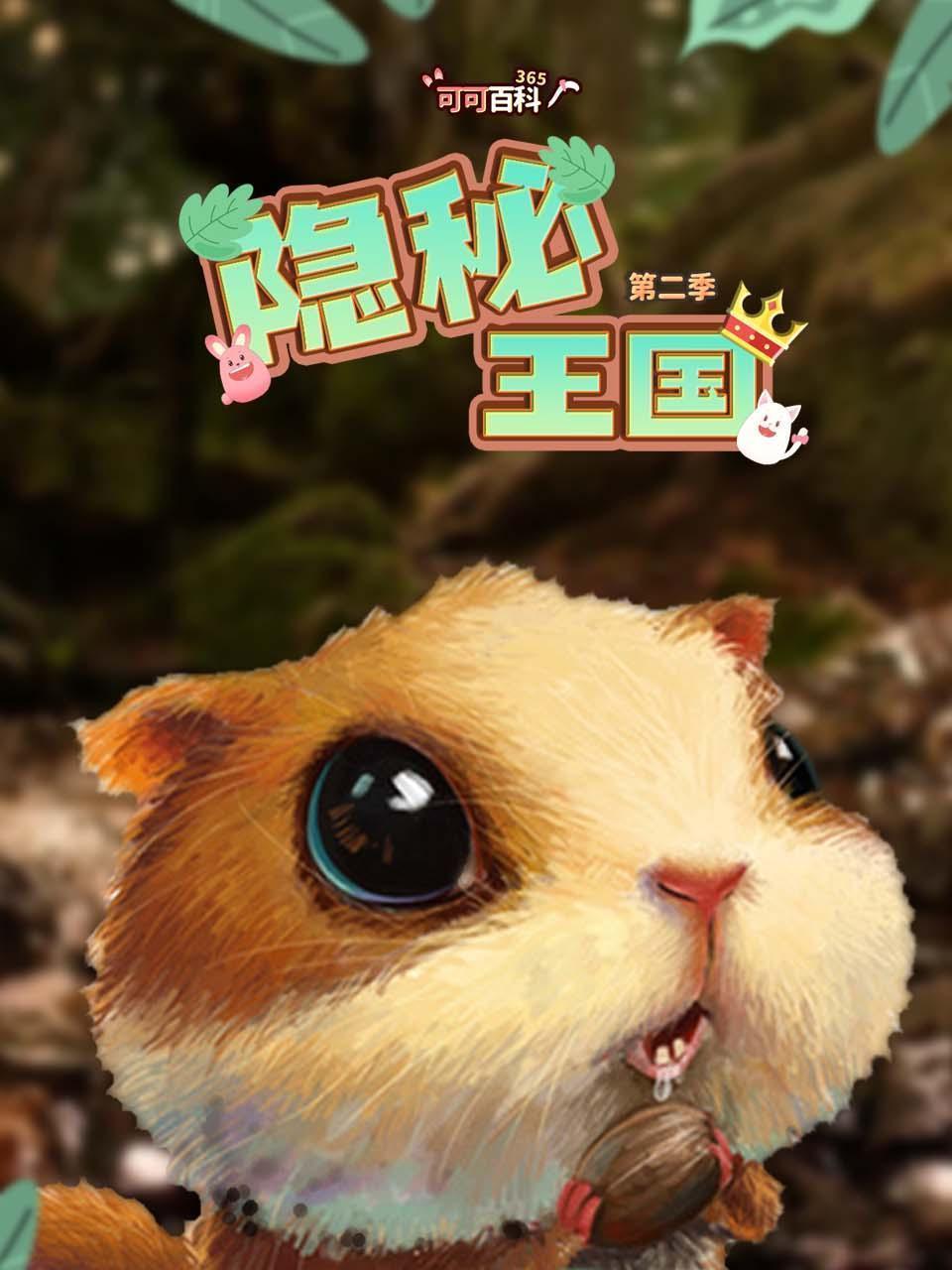 可可百科365：隐秘王国 第二季