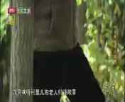 光阴 《光阴》 20140829 中国梦纪录片展播 长沟人的“文创”梦