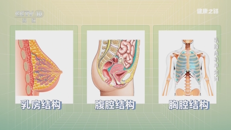 健康之路 《健康之路》 20241025 乳腺危机早知道