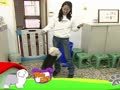 狗狗日记 第81天 Alpha的幼幼班