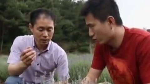 四海漫游 京郊避“虎”计划