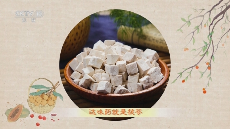 百家讲坛 《百家讲坛》 20240204 舌尖上的养生 4 补虚延寿云茯苓