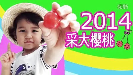 中国爸爸 MA酱采摘大樱桃in樱桃果园 外出篇 40
