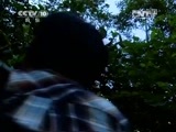地理中国 《地理中国》 20150626 墨脱幻境（上）