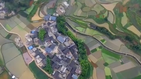 与梦想合拍 甜蜜的“蓝色梦想”