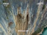 地理中国 《地理中国》 20170811 夔门探秘（上）