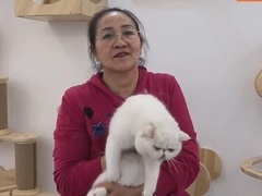 如果喜欢我 请联系我