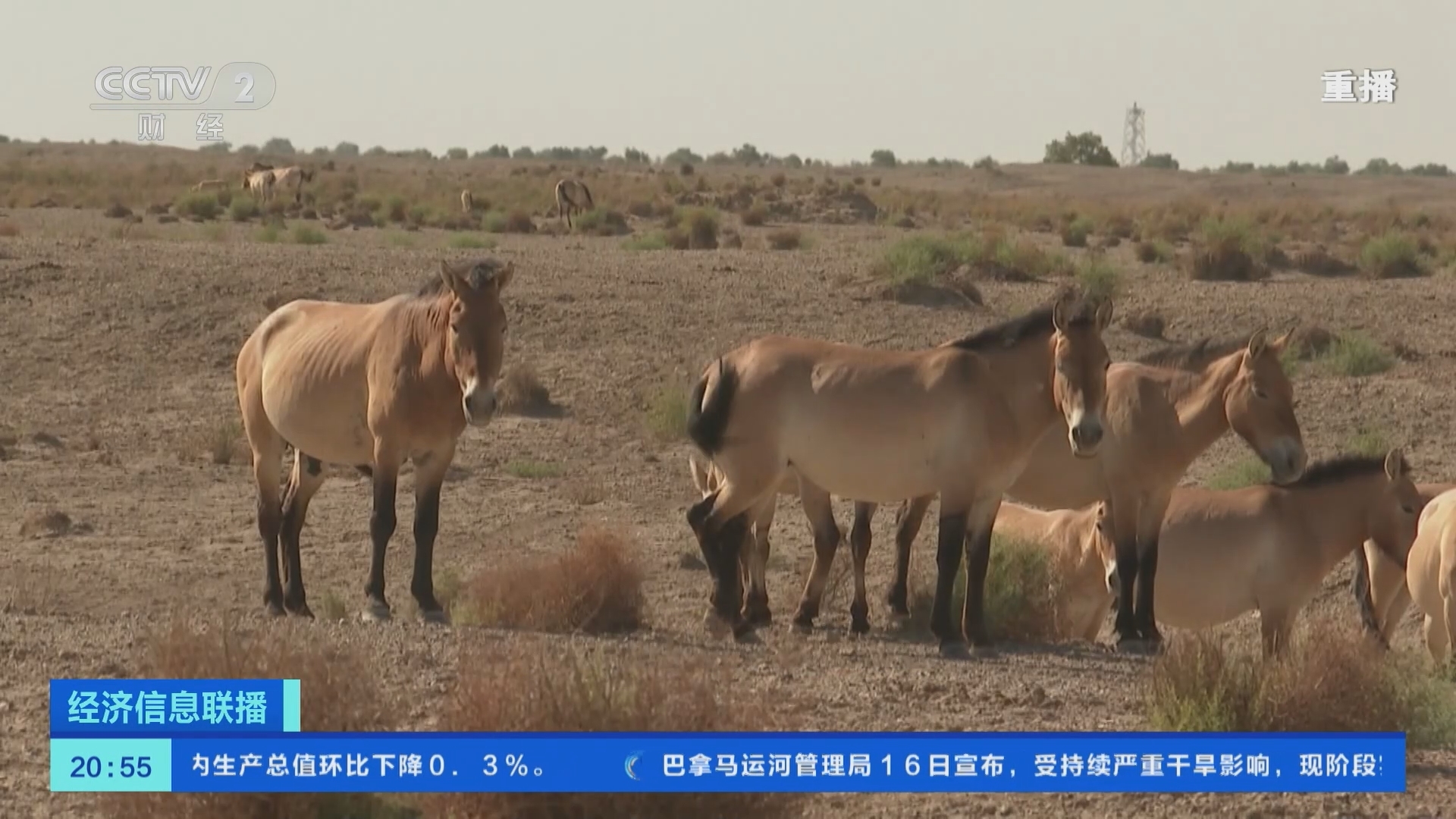 经济信息联播 《经济信息联播》 20230817