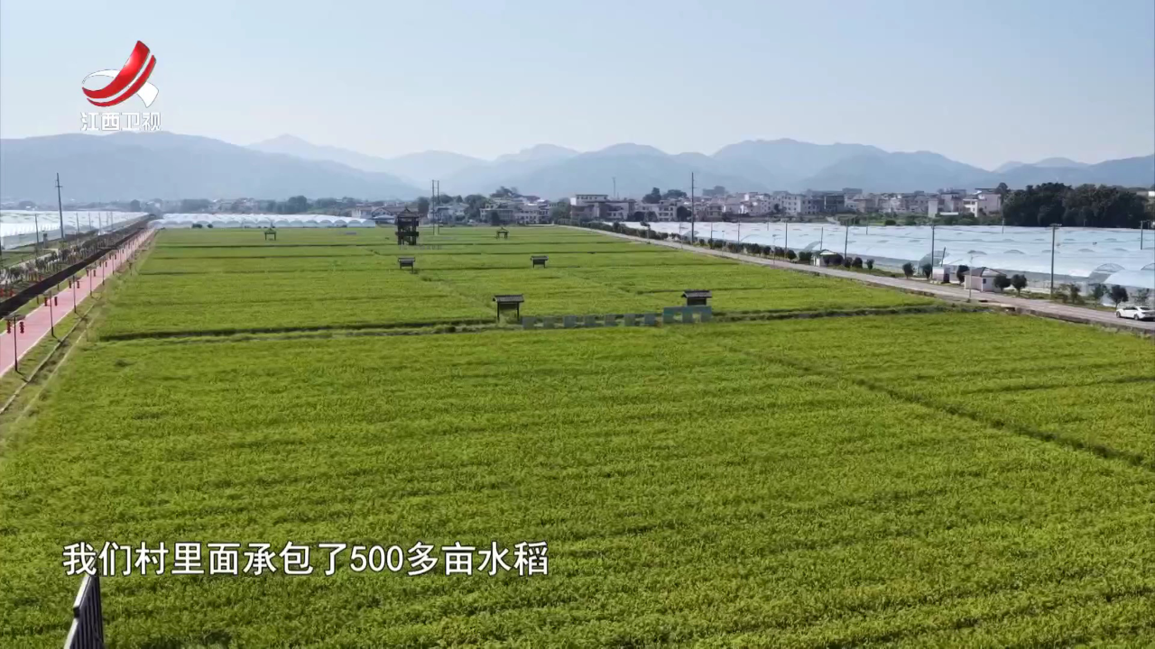 社会传真 潭头村的“硒”望田野