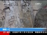 新闻1+1 《新闻1+1》 20161202 排污：地方管不住？只能靠中央？