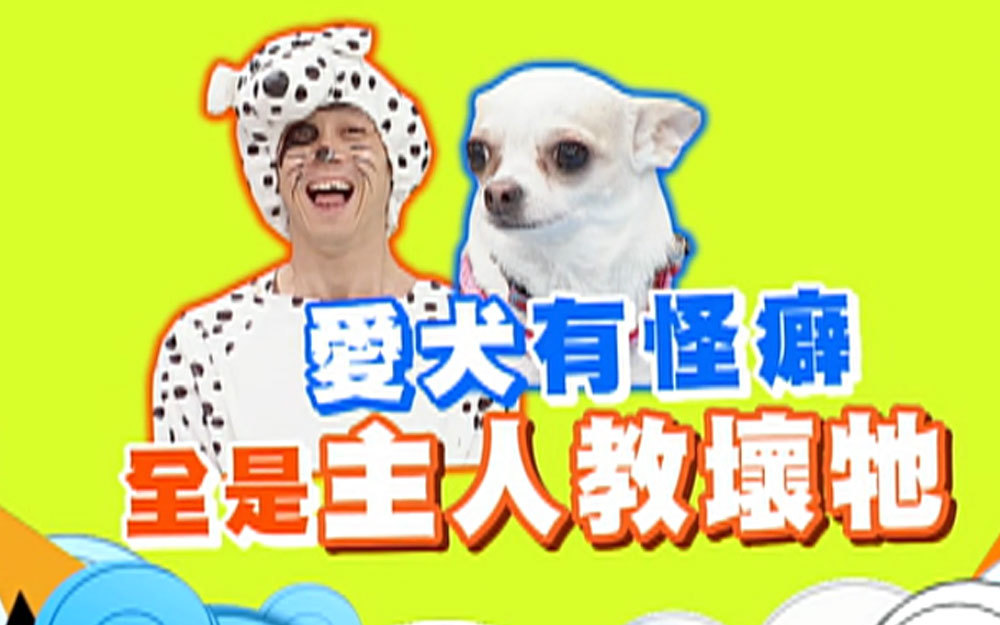 陈汉典爱宠有怪癖~全是主人教坏它