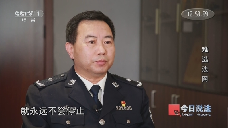 《今日说法》 20260618 难逃法网