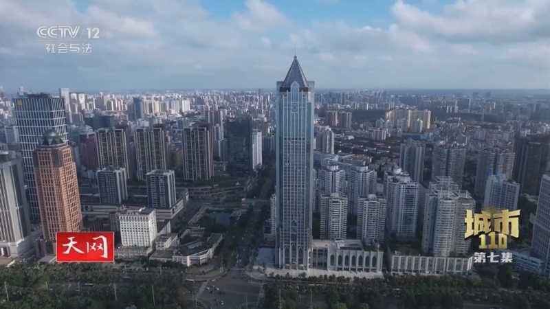 天网 《天网》 20240102 城市110（第二季）第7集