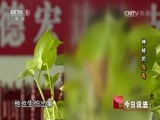 今日说法 《今日说法》 20160927 神秘的“旅客”