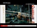 风华国乐 风华国乐 2010年 第238期
