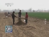 我爱发明 《我爱发明》 20140506 挖豆豆