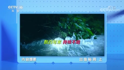地理中国 《地理·中国》 20200518 出鱼秘洞 上