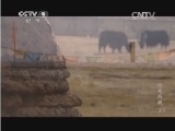 行走西藏 《人文地理》 20140912 行走西藏 第二集 青藏线