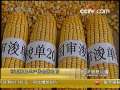 经济信息联播 经济信息联播 2008-07-31