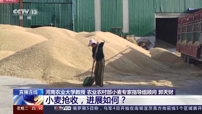 新闻1+1 《新闻1+1》 20230606 小麦抢收，进展如何？