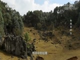 地理中国 《地理中国》 20180612 秘境格萨拉